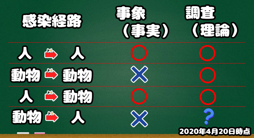 わん ステップ株式会社 犬のコロナ感染予防について紹介 外出自粛でもペットには運動をさせよう 犬の車椅子のオーダーメイド製作 販売